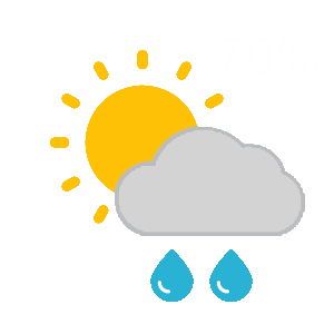 Cloudy, Light Rain Showers