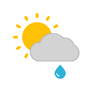 Light rain showers 
